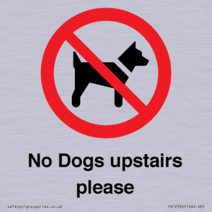 No Dogs upstairs please 